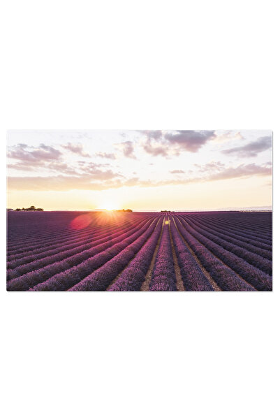 StoryGift Romania Tablou Canvas Peisaj Cu Lavanda, Vegetatie Luxurianta Si Ap...