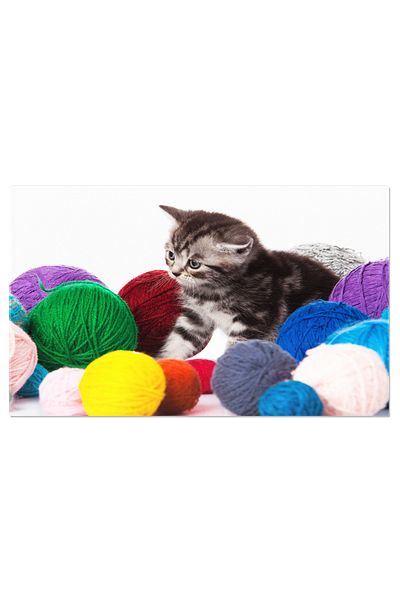 StoryGift Romania Tablou Canvas Motanul Cu Bile De Ata Motan Mic Pe Fundal Alb, Animale, Jucarie, Jucaus, Cute, B