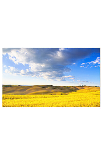 StoryGift Romania Tablou Canvas Campuri De Grau Si Livezi In Toscana, Italia,...