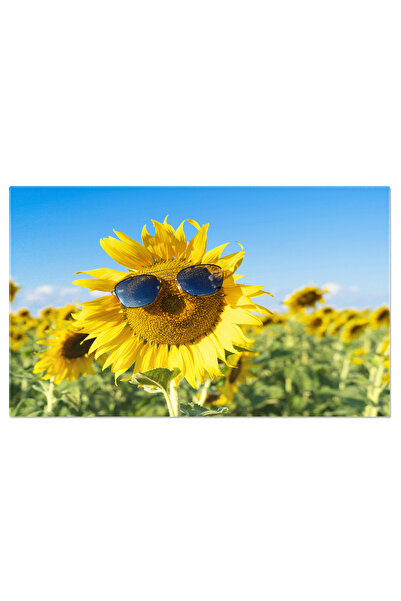 StoryGift Romania Tablou Canvas Camp In Parcul Natural Crestere, Albastru, Fl...