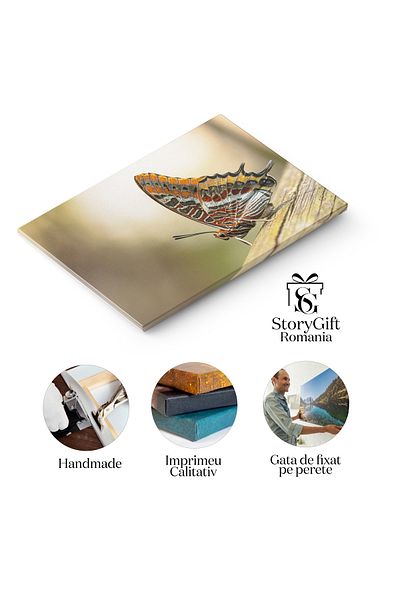 StoryGift Romania Tablou Canvas - Fluture Charaxes Jasius Pe Fruct Proaspat - Splendoarea Lumii Insectelor