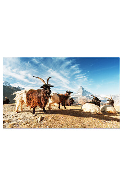 StoryGift Romania Tablou Canvas Vedere Pitoreasca La Lacul Welsperg In Toamna Welsperg, Dolomiti, Toamna, Munti,