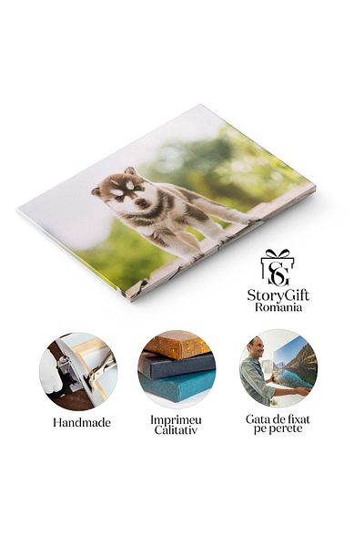 StoryGift Romania Tablou Canvas Pui De Husky De Patru Saptamani Animal, Husky, Catel, Alb, Brun, Privire 2033