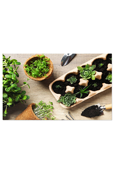 StoryGift Romania Tablou Canvas Cu Protectia Mediului: Reciclare, Agricultura...