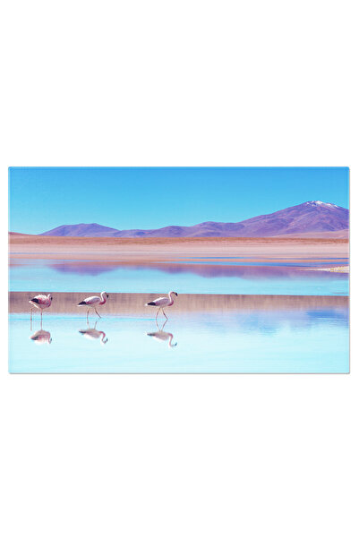 StoryGift Romania Tablou Canvas: Flamingo Intr-un Habitat Exotic - Exotic, Pa...