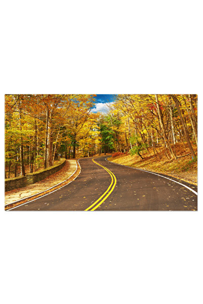 StoryGift Romania Tablou Canvas Peisaj De Toamna Drum Serpuitor Prin Paduri A...