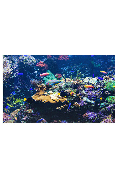 StoryGift Romania Tablou Canvas - Lume Subacvatica Uimitoare: Frumusetea Adan...