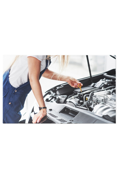 StoryGift Romania Tablou Canvas: Cumpararea Masinii: Afaceri Si Decizii