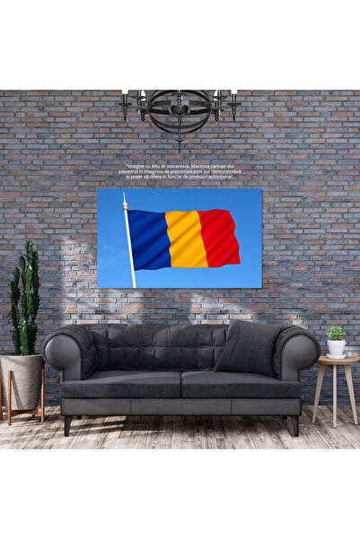 StoryGift Romania Tablou Canvas - Drapelul Romaniei Fluturand Mandru: Simbol National