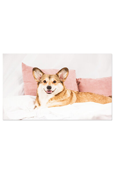 StoryGift Romania Tablou Canvas Yacht In Fata Muntilor Yacht Elegant Pe Un La...