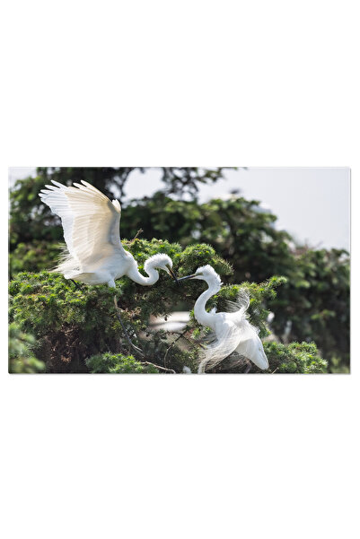 StoryGift Romania Tablou Canvas: Privire Patrunzatoare - Mare Aigreta Alba, P...