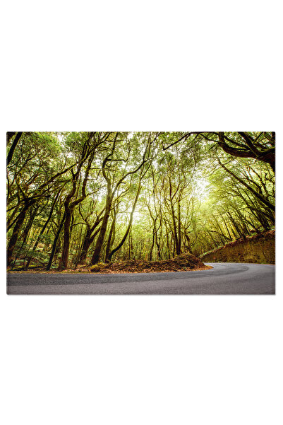 StoryGift Romania Tablou Canvas Drum Prin Padurea Insulei La Gomera La Gomera...