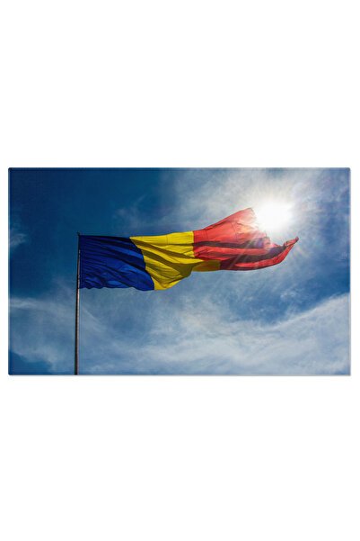 StoryGift Romania Tablou Canvas: Steag National In Vant - Patriotism Si Ident...