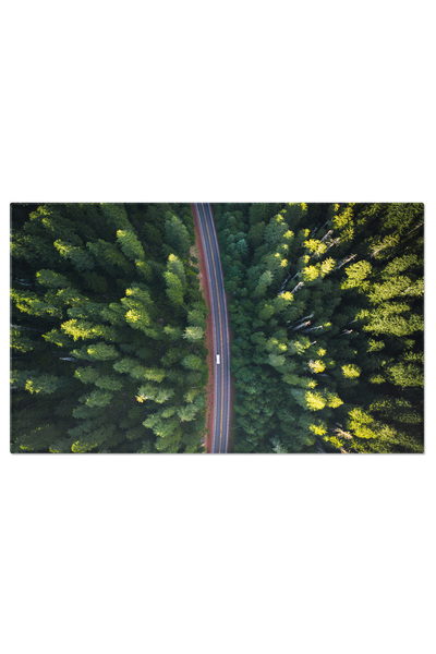 StoryGift Romania Tablou Canvas: Padure Densa In Toamna, Botanica Luxurianta,...