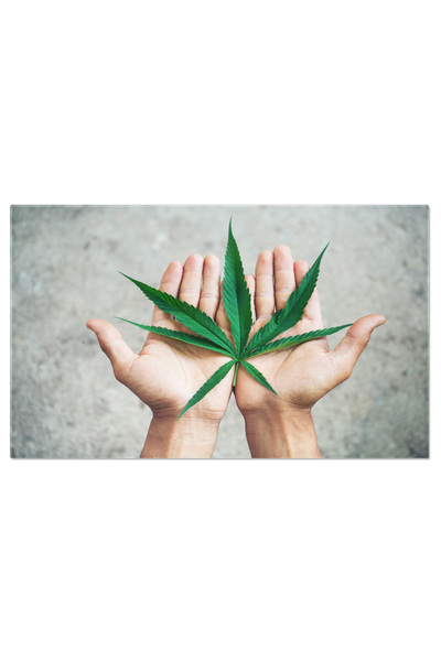 StoryGift Romania Tablou Canvas Mana Tinand Frunza De Marijuana Plantatie De ...