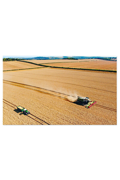 StoryGift Romania Tablou Canvas Timpul Recoltei Vedere Aeriana Aerian, Recolt...