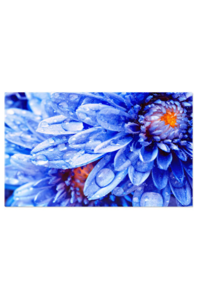 StoryGift Romania Tablou Canvas: Flori De Toamna, Dahlia Colorata In Plina In...