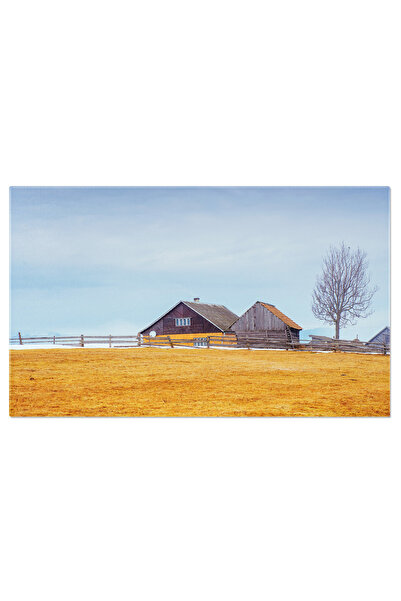 StoryGift Romania Tablou Canvas: Dimineata Mistuitoare Intr-un Peisaj Natural