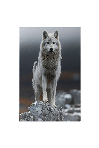 StoryGift Romania Tablou Canvas În Umbra Ceței Lupul În Repaus Pe Stâncile De...