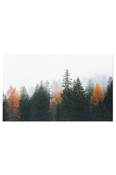 StoryGift Romania Tablou Canvas - Toamna In Dolomiti: Paduri De Conifere, Ceturi Si Peisaje