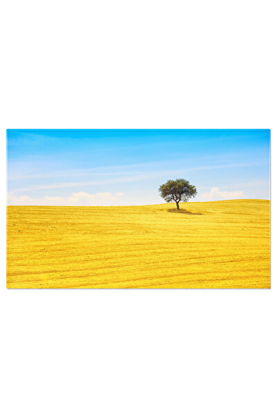 StoryGift Romania Tablou Canvas Maslin Si Campuri Verzi, Montalcino, Italia, ...