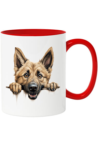 StoryGift Romania Cana cu un caine care roade o bara dintr-un gard | ilustrat...