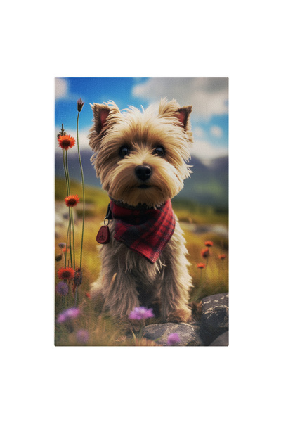 StoryGift Romania Tablou Canvas: Bichon În Camp- Natură Și Animal De Companie...