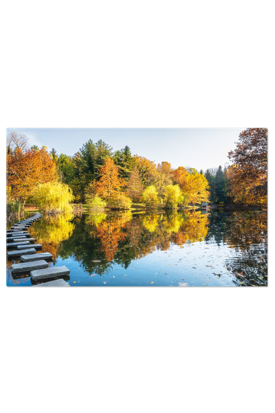 StoryGift Romania Tablou Canvas - Frumusetea Toamnei: Peisajuri Colorate, Fru...