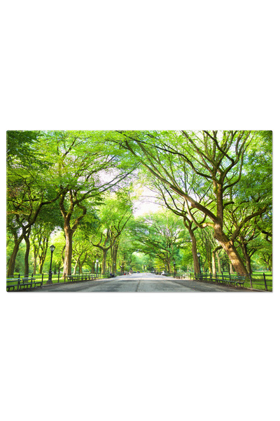 StoryGift Romania Tablou Canvas 120 x 80CM The Mall in Central Park, peisaj urban, Parcul Central, New York, Am STG