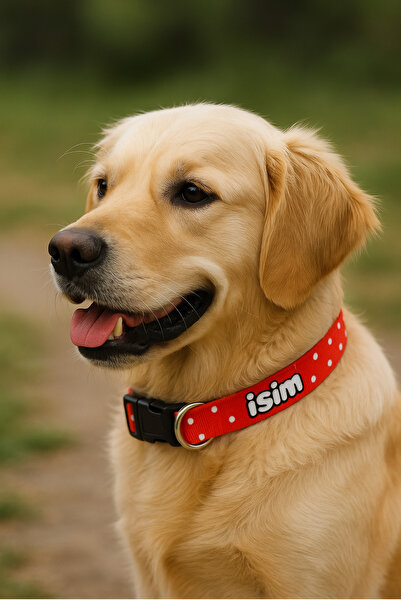 Cocopet İsimli Köpek Boyun Tasması Tüm ırklar için