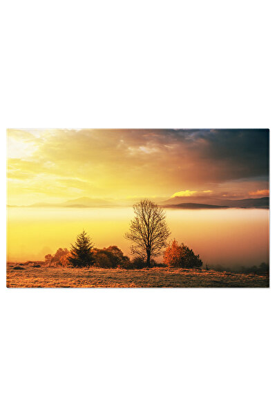 StoryGift Romania Tablou Canvas Peisaj Pictoresc Cu Munti Si Arbori De Toamna...