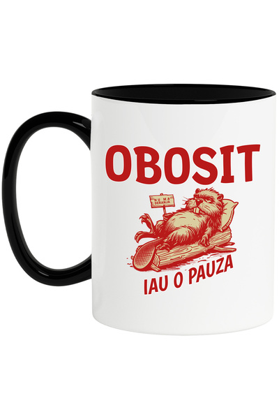 StoryGift Romania Cana Castor Haios Text Obosit Iau O Pauza Nu Ma Deranja, 33...