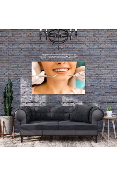 StoryGift Romania Tablou Canvas - La Dentist: Ingrijire Dentara Profesionala Pentru Oameni Tineri