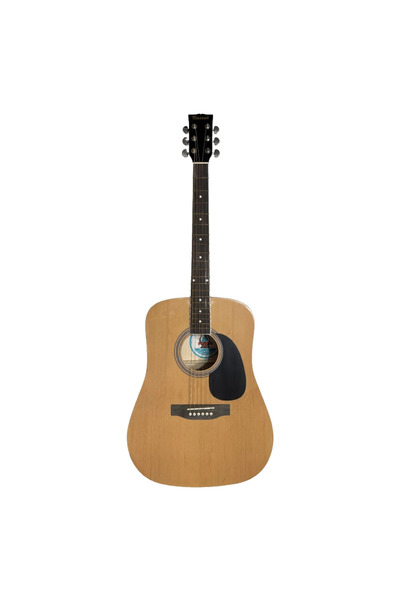 Parrot Acoustic Guitar, Parrot DG200 NT, Natural
