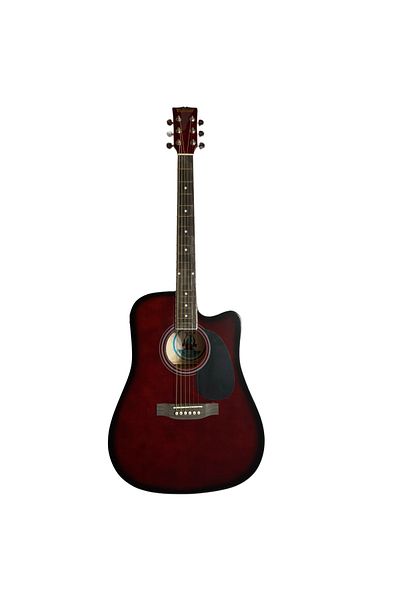 Parrot Guitar - Red - Acoustic Guitar