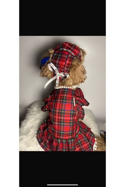 Butik Kırmızı köpek elbisesi