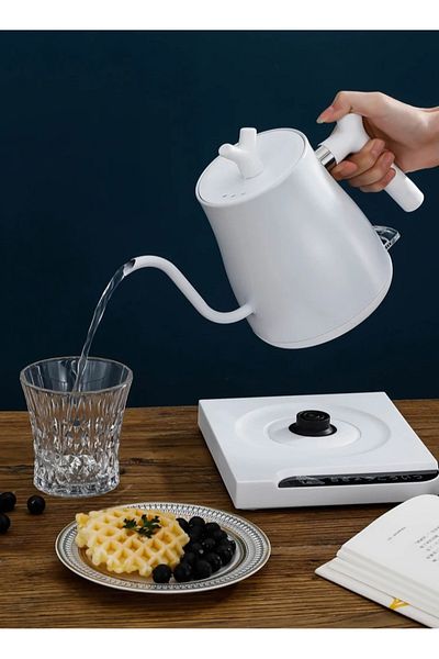 ET-LIFE غلاية كهربائية Gooseneck سعة 800 مل، غلاية ماء ساخن سريعة الغليان، مصنوعة من الفولاذ المقاوم للصدأ، تسخين سريع 1000 واط