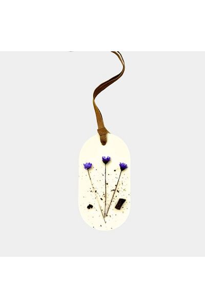 Ziani Scented wax cabinet air freshener - Blueberry, Jasmine, Vanilla, 25 g