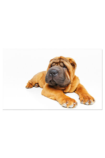 StoryGift Romania Tablou Canvas - Cane Corso Adorabil: Puiuta Neagra