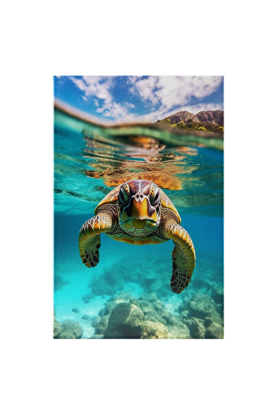 StoryGift Romania Tablou Canvas: Broasca Testoasa Inotand - Apa Insula Senin ...