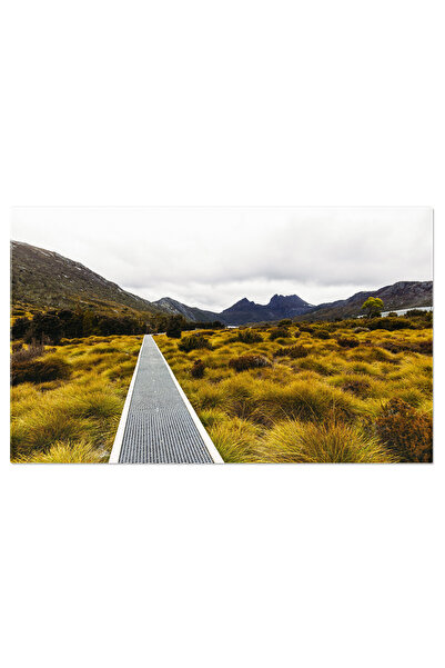 StoryGift Romania Tablou Canvas Muntele Cradle In Tasmania, Australia, Tasmania, Australia, Frumusete, Casa De Ba