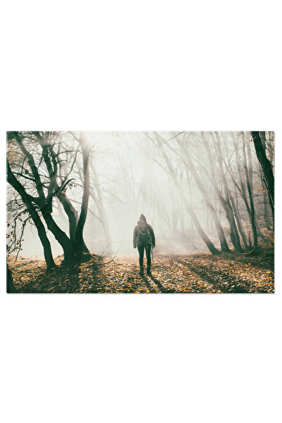 StoryGift Romania Tablou Canvas Peisaj Intetos Cu Soare, Padure Si Umbre In A...