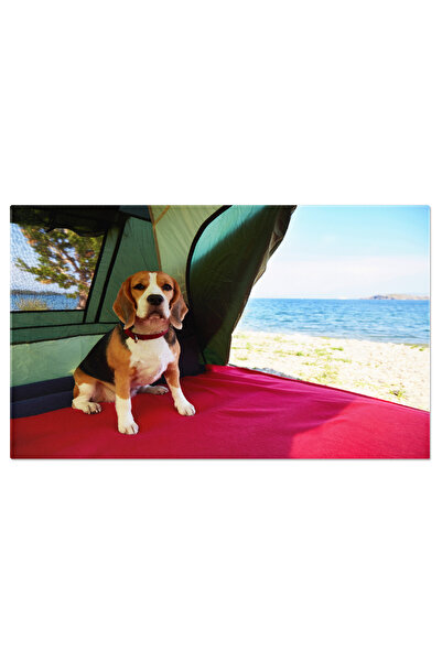 StoryGift Romania Tablou Canvas Cainele Beagle Sta Intr-un Cort Intr-o Vara Salbatica, Caine, Beagle, Cort, Calat