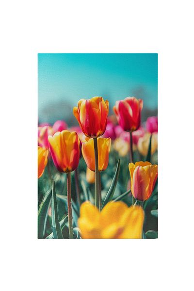 StoryGift Romania Tablou Canvas: Lalele Pestrițe În Grădina Simfoniei De Culori Armonie Cromatică Close Up Pictur