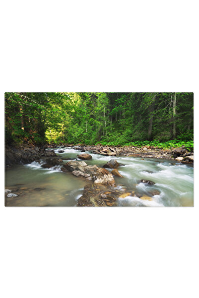 StoryGift Romania Tablou Canvas Compozitie A Naturii Padure, Verde, Peisaj, R...