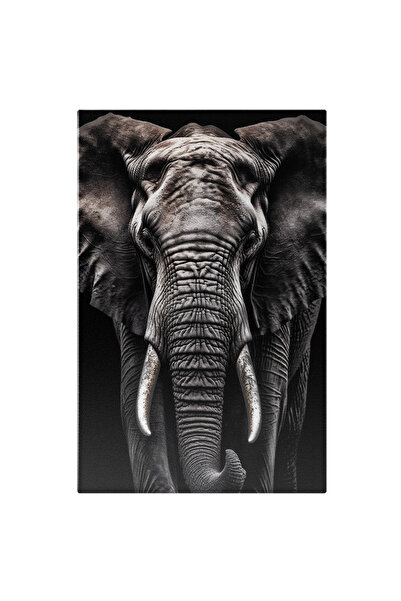 StoryGift Romania Tablou Canvas: Fotografie Cu Un Elefant - Dramatic Tristete...