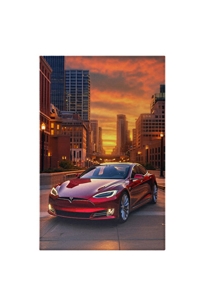 StoryGift Romania Tablou Canvas: Fotografie Cu O Masina Electrica Tesla - In ...
