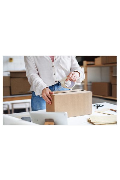 StoryGift Romania Tablou Canvas - Lucru De Acasa - Business Online