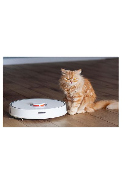 StoryGift Romania Tablou Canvas - Tehnologia Aspiratoarelor Robotice: O Casa Curata