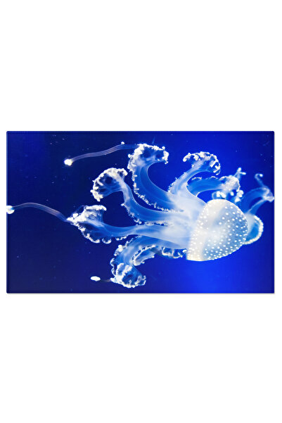 StoryGift Romania Tablou Canvas - Lume Subacvatica Fascinanta: Acvariu Cu Pesti Colorati